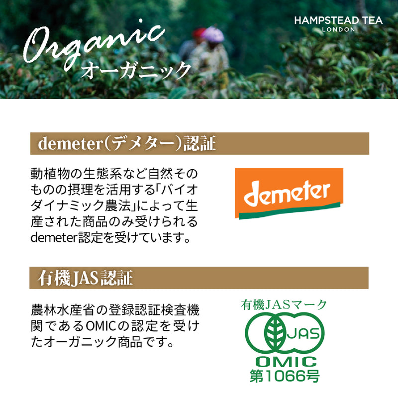 ハムステッドティー ダージリン ティーバッグ 20袋