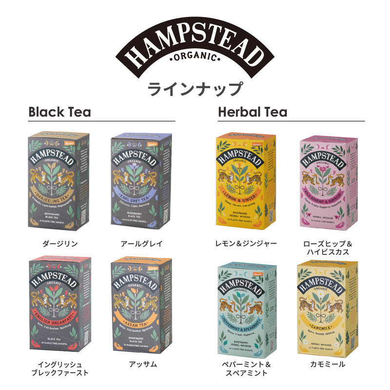 ハムステッドティー ダージリン ティーバッグ 20袋