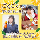 Tasty World!(卸専門) |フェリーチェ ごくごくオレンジ 500ml 24本セット