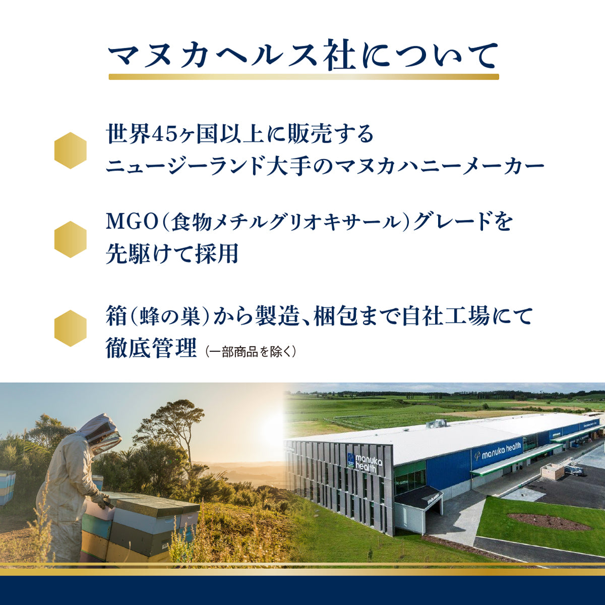 マヌカヘルス MGO263+/UMF10+ | Tasty World!(卸専門)